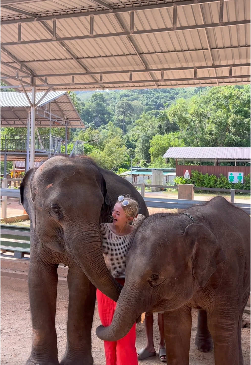 welcome to THAILAND 🇹🇭 ✨✨ most beautiful place on earth #thailand #travel #solotravel 