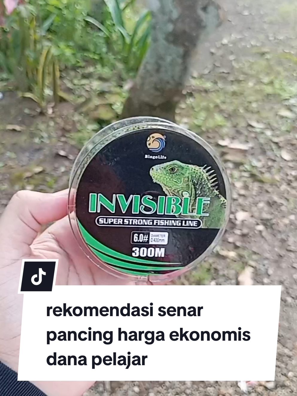 #hobimancing #mancingmania #senarpancing #senarmurah #senar #mancing #fyp 