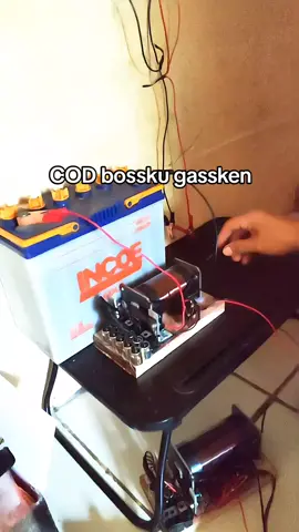 Power Platina 3000w 10kondensor kegunaannya buat spek ikan nila dll cocok bossku #fypage #stromplatina #setrumikanplatina #platina 