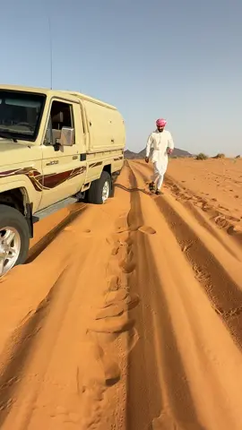 دسيسه الرمل صقنقور#سمك #الصحراء #السعودية🇸🇦 #النفود #اكسبلور #foryou 