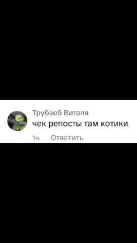 не соврал#oioi#cat#котики