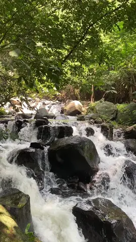 📍curug madi kamojang