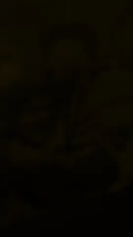 #promomakangajian #capcuttemplate #fyppppppppppppppppppppppp #capcut 