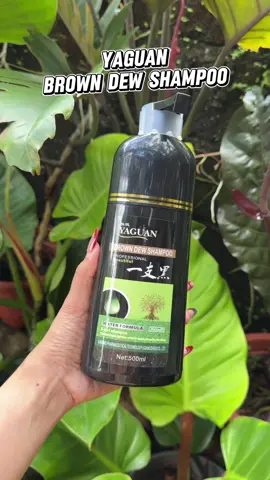 Yaguan herbal hair dye shampoo! Easy to apply pangkulay sa hair ❤️ #yaguanbrowndewshampoo #brownshampoo #haircolor #dye #fyp 