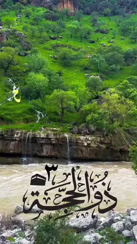 #اللهم_صل_وسلم_على_نبينا_محمد #عليه_افضل_الصلاه_والسلام #❤❤ #سبحان_الله_وبحمده_سبحان_الله_العظيم #🌿🌿🌿 #🤍🤍🤍 #🕊️🕊️🕊️ #🍃🍃 
