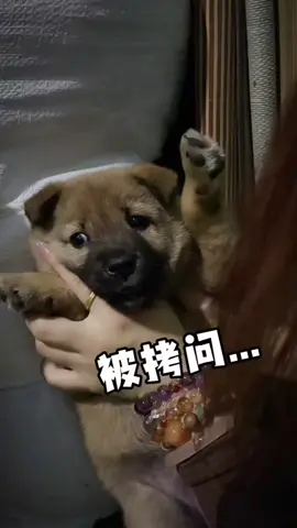 Riết nhiều cái tau ko muốn nói á Sen 🙂