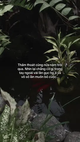 …#tamtrang #story 