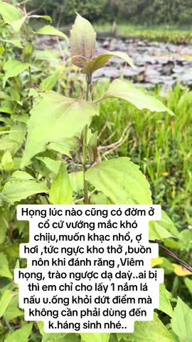 #xuhuongtiktok #xuhuong2025 