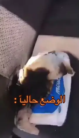 باقي ماتابعتني ؟ وش تنتظر دق زر المتابعه