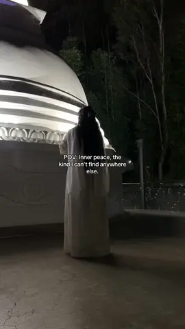 🤍