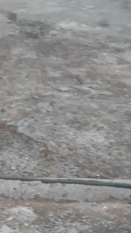 ##CapCut #ตามจังหวะ 