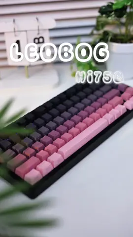 LEOBOG Hi75C. Phím nhôm siêu ngon trong phân khúc 1tr #sinhviennam6 #leobog #hi75c #aula #banphim #keyboard #banphimco 