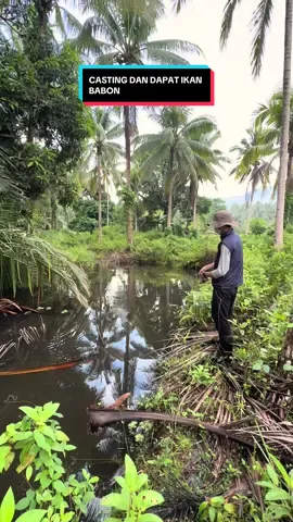 Membalas @afrensius Sagala mancing casting dan dapat ikan babon🥰 #indo1team #mancingcasting @Toko Pancing Moncer @Paradise Fishing Official 