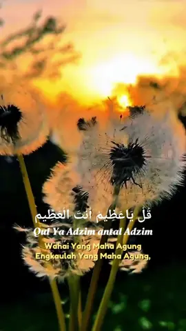 Qul Ya Adzim #CapCut #sholawat #doa #aesthetic #foryou #fyp 