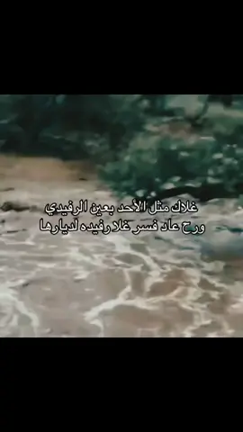 #قحطان #رفيده_الحكام #duet #fyp #اكسبلورexplore #عوال_الشايب #بني_مضيم #رفيده 