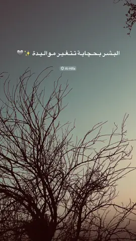 عبارات للفيديو 🖤 #سمير_صبيح #شعر_عراقي #شعراء_وذواقين_الشعر_الشعبي #منتدى_خواطر #منتدى_خواطر #سعد_شميل #لايك_متابعه_اكسبلور #رائد_ابو_فتيان #الحله_بابل 