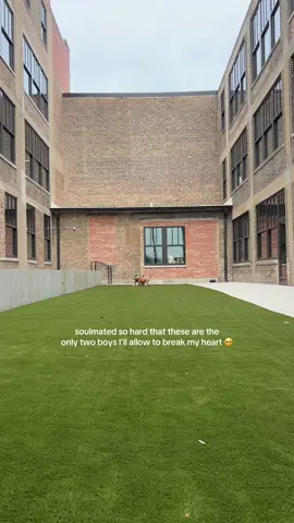 I’m sobbing 🥺🥺🥺