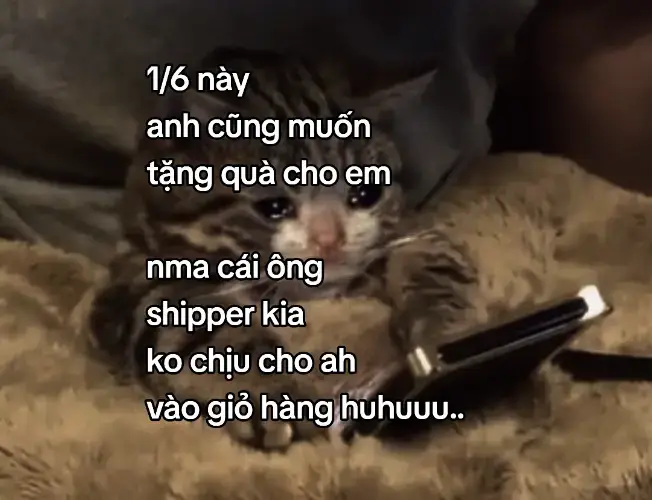 #1thang6 #abcxyz #xuhướng 