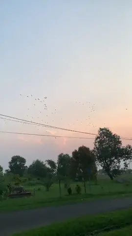 Ada sebuah harapan didalam kerinduan, yakni sebuah pertemuan dalam kenyataan🌅 #subangjawabarat #subang #fyp #fyp #fypage #fypシ゚ #xyzbcafypシ #rindu #sukamandi #subangjawabarat 