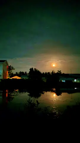 The su  #nhachaymoingay #xuhuong #lyrics #nhachay #trutinh #tamtrang #trutinhbolero #bolerohaynhat 