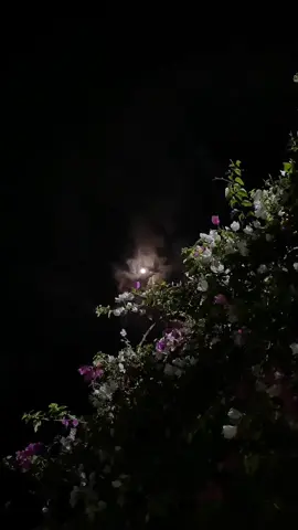 Jidda raat zaroori aay  . . . #deepwords #deeplyrics #http_lyrics1 #fyp #foryouuuuu #fyppppppppppppppppppppppp 