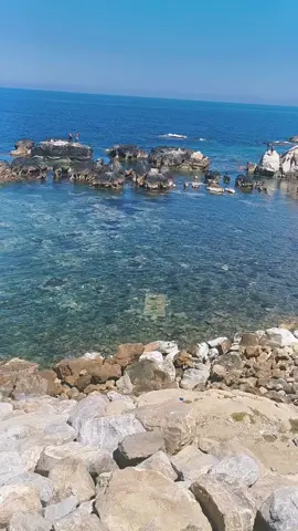 اجعل كل لحظة في حياتك مثالية ولا تنتظر اللحظة المثالية#foryoupage #jijel_____algér⚡❤ #الجزائر #fyp #الشعب_الصيني_ماله_حل😂😂 #funclub #creatorsearchinsights 