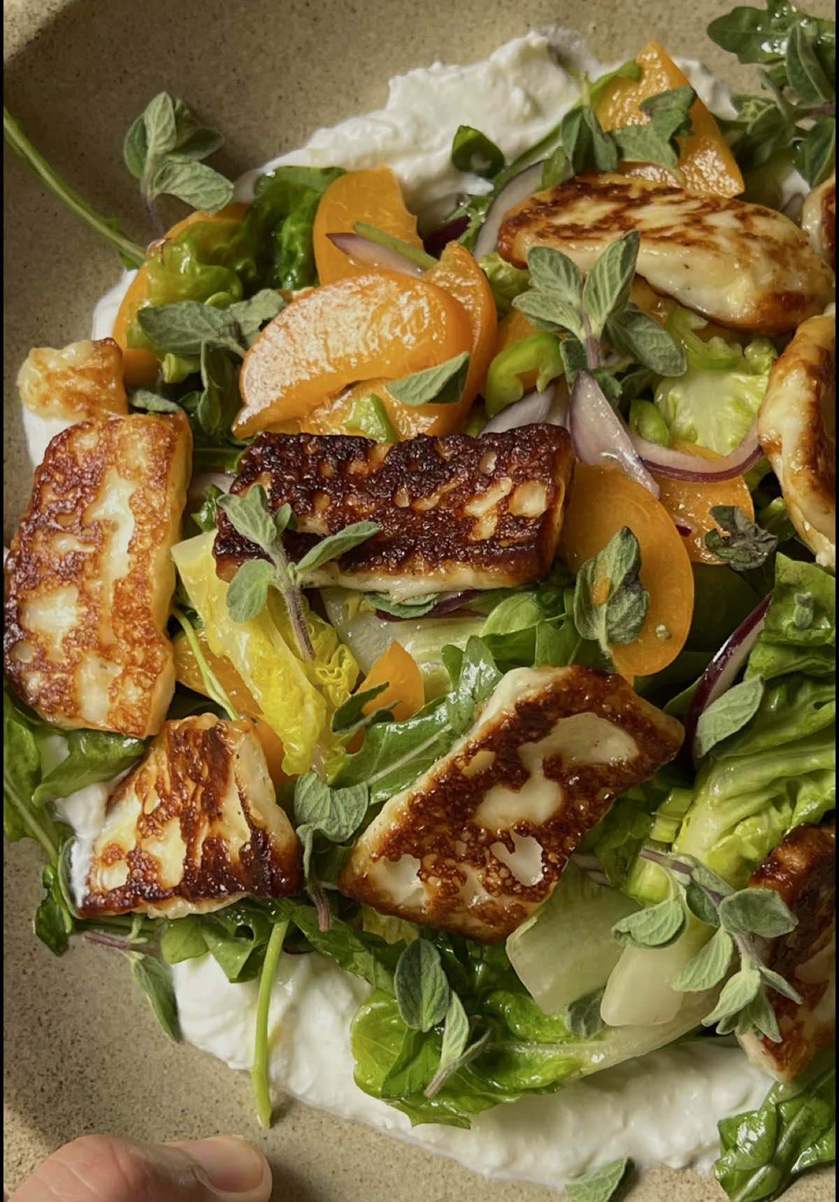 סלט חלומי עם משמשים וחסות 🍑🥬🍋‍🟩 סוגר לכם את הפינה עם סלט לארוחת חג או לבראנצ שבא לכם ואתם יכולים להחליף את המשמש בפרי אחר שאתם אוהבים כמו אפרסק או נקטרינה 🫶🏻 מתכון מצרכים: לסלט: 	•	2 משמשים, פרוסים דק 	•	חצי בצל סגול, פרוס דק 	•	חצי פלפל ירוק חריף, קצוץ דק (או לפי הטעם) 	•	ראש חסה (ליטל ג’ם או גמביט), מופרד לעלים וקרוע גס ביד או חתוך לרבעים 	•	חופן עלי רוקט 	•	גבינת חלומי, פרוסה לטיגון החלומי: 	•	2 כפות שמן זית או 1 כף שמן זית + 1 כף חמאה לרוטב: 	•	כפית גדושה דבש 	•	2 כפות שמן זית 	•	מיץ מחצי לימון עסיסי 	•	כפית חומץ תפוחים 	•	כפית מלח להגשה: 	•	2–3 כפות יוגורט יווני לכל מנה 	•	עלי זעתר טריים (או קצוצים) 	•	שומשום קלוי ⸻ אופן ההכנה: 	1.	מטגנים את החלומי: מחממים מחבת נון-סטיק עם 2 כפות שמן זית (או שמן זית וחמאה). מטגנים את החלומי משני הצדדים עד שהוא זהוב ופריך מבחוץ. 	2.	מכינים את הרוטב: בקערית קטנה מערבבים היטב את הדבש, שמן הזית, מיץ הלימון, החומץ והמלח. 	3.	מרכיבים את הסלט: בקערה גדולה שמים את החסה, הרוקט, המשמשים, הבצל והפלפל החריף. מוסיפים את החלומי החם, יוצקים מעל את הרוטב ומערבבים בעדינות. 	4.	הגשה: מורחים 2–3 כפות יוגורט יווני על צלחת הגשה, מניחים מעל את הסלט, ומפזרים עלי זעתר ושומשום קלוי. בתיאבון 🧡🌸 פרסום בשיתוף גד @gaddairy  #food #אוכל #yummy #salad #מבשלים_עם_טיקטוק 