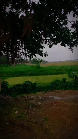 # আমাদের সময় আসলে দিনেও অন্ধকার দেখবে ,🥱🥱🥱😎😎😎# waith and watch #support_me #attitude #everyone #views #viral #followers➕ 