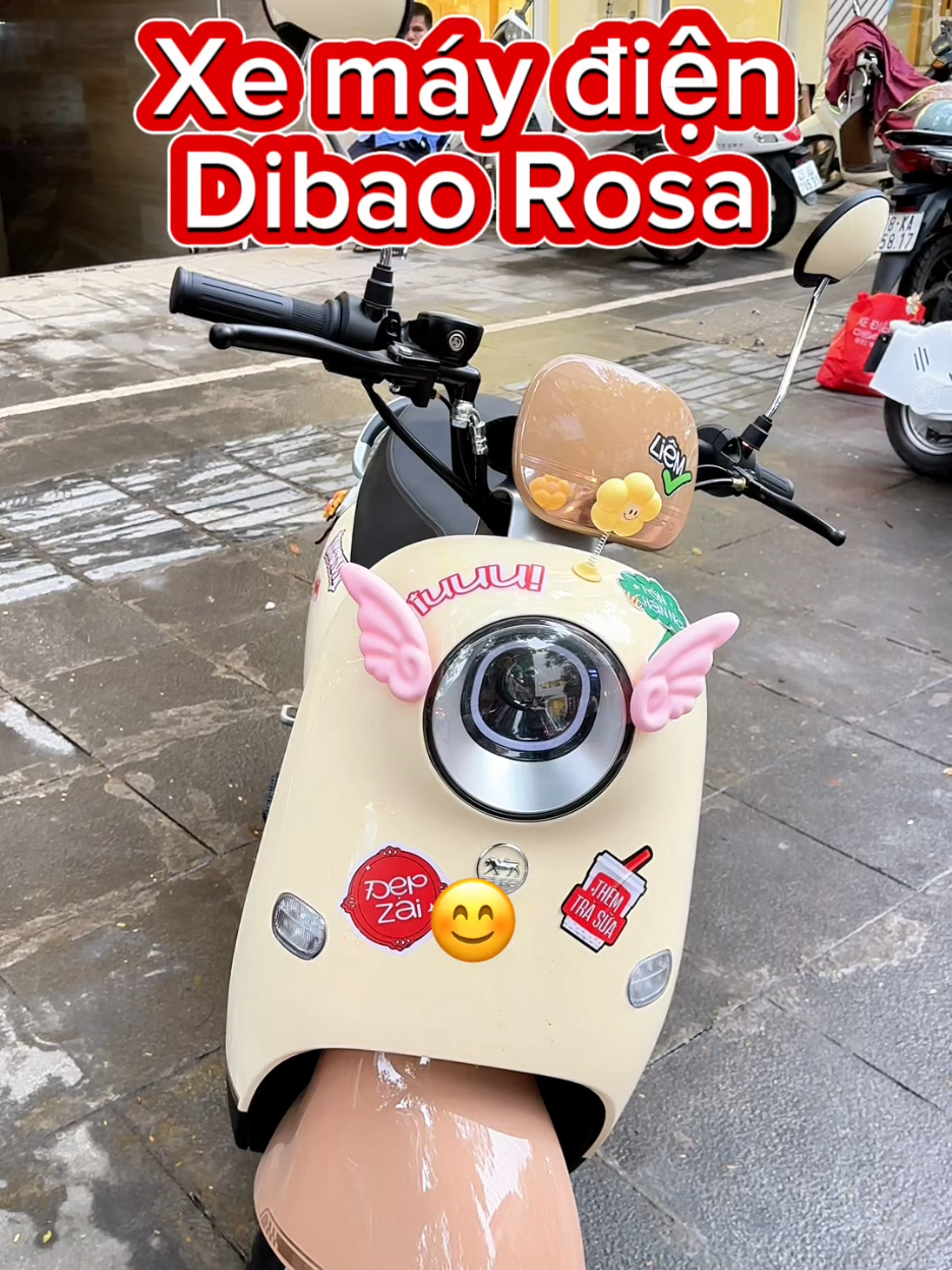 Xe điện không chỉ tiết kiệm mà còn bảo vệ môi trường🌱🌱🌱 @dibaovietnam  #xediendibao #dibaovietnam 