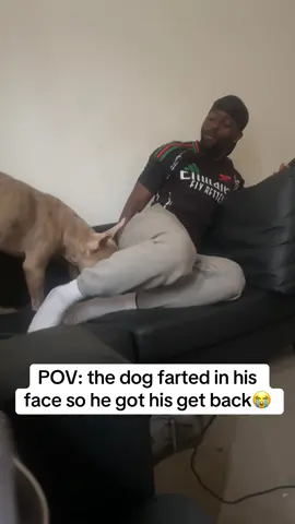 Dog couldn’t believe that this human done him like that 😂😂 Separately @Blacksonicc you sure you didn’t follow through 👀😭 #fyp #forupage #dog #dogsoftiktok #fart 
