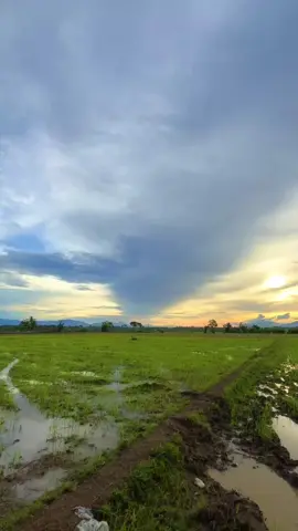 Terkadang yg indah di ciptakan hanya untuk di kagumi, bukan untuk di miliki.