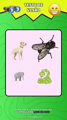 Teste de visão! 🧠 #diversao #quiz #quiztime #testedevisão 