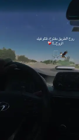 راحت الضحكة، راحت الفرحة، حياة بلا روح ❤️‍🩹⚖️🦅