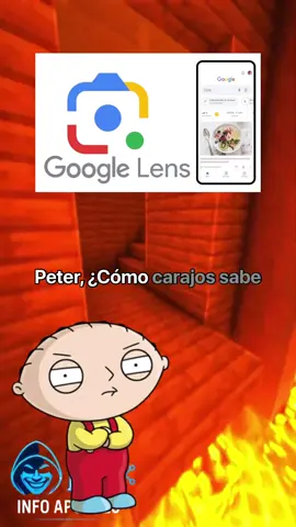 Stewie escanea una pelota de rugby y Google encuentra a su prima en otro continente… le explota la mente. Entonces Peter explica cómo Google Lens ve, lee y busca como un genio con sobredosis de cafeína. . . . . #Fullstack #Programación #VisiónPorComputador #InteligenciaArtificial #google #IA #GoogleLensExplicado #IAenAcción #AprendizajeAutomático #VisiónPorComputadora #AprendizajeProfundo #DetecciónDeObjetos #ReelsTecnológicos #StewieYPeter #BúsquedaVisual #EducaciónIA #CómoFunciona #TecnologíaInteligente #PeterGriffinExplica #StewieAprendeIA #RedesNeuronales #infoapuntes 