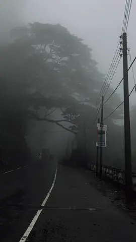 This way 🥺🍃🤍 #traveling #traveltiktok #travelvideo #welcomehome #billieeilish #traveler #foru #for #foruyou #fyp #virl #worldwide #visitsrilanka #kadugannawa #travelerseye 