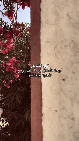 #شعر #اغاني #fyp #vairal #الشعب_الصيني_ماله_حل😂😂 #تصويري📸 #تصويري_احترافي_الاجواء👌🏻🕊😴 #عباراتكم_الفخمه📿📌 #شعراء_وذواقين_الشعر_الشعبي🎸 #اجمل_عبارة_راح_ثبتها📌 #اقتباسات_عبارات_خواطر🖤🦋❤️ #yyyyyyyyyyyyyyyyyy 