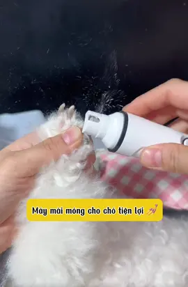 Máy mài 💅 cho chó #maymaimong #thucung #xuhuong  @Happy.Pets  @Happy.Pets  @Happy.Pets 