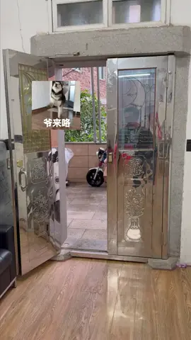 #家庭日常 #familyvlog #泉州朴奈恩一家 #泉州朴奈恩一家 