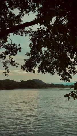 🤍🫶 #fyppppppppppppppppppppppp #foryoupage #fyp #foryou #evening #viraltiktok #cloud #sun #sunset #sky #backgroundvideo #onebillionaudition #onemillionaudition #clouds_454 #tiktok🇱🇰srilanka 