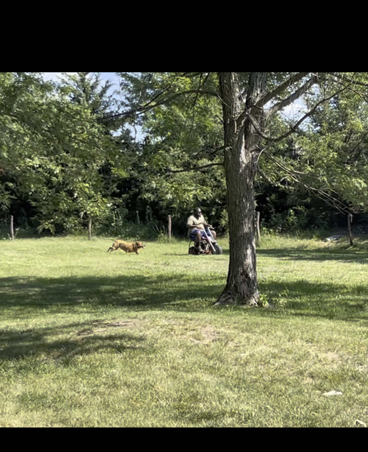 When they say a dogs a man’s best friend, they meant that!!! #countrymusic #heeler #fyp 