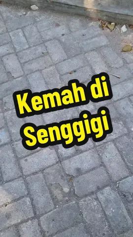 Kemah di Senggigi