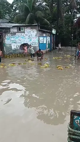 এদিকে অমাবস্যা ও গভীর নিম্নচাপের কারণে উপকূলীয় জেলা চট্টগ্রাম, কর্ণফুলী নদীর এবং ২-৪ ফুট অধিক উচ্চতার বায়ুতাড়িত জলোচ্ছ্বাসে প্লাবিত পানি #viralvideoシ #highlightseveryonefollowers #fypシ゚viralシfypシ゚viralシalシ #bdtiktokofficial 