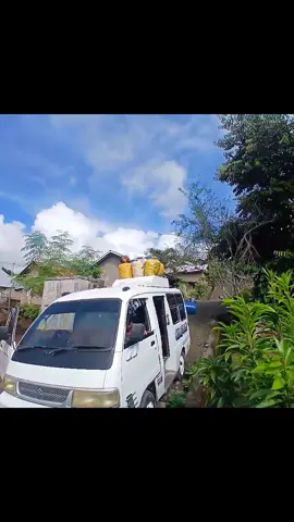 Simpati Bokang—Maumere #komentator #CapCut #angkotflores #foryou #fyp #nttpride🏝🔥 #florestimur #santememang💃 