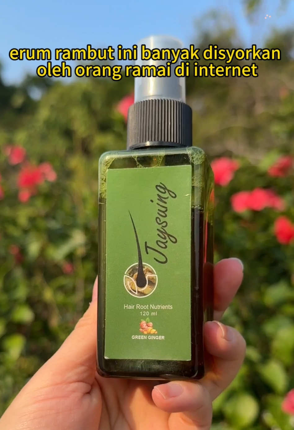 Rambut gugur teruk, macam mana? Cubalah ini, memang sangat berguna.#ginger #fyp #gift #haircare #hair 