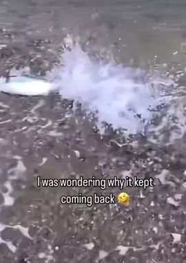 #fyp#blowup?#Funny#relatable#real#Laugh#Like#Fish#Fisch#Feesh