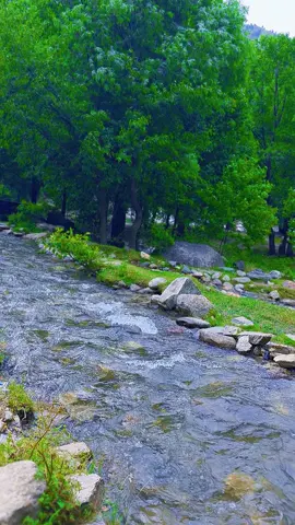 The most beautiful valley in kpk menshera ( siran valley )