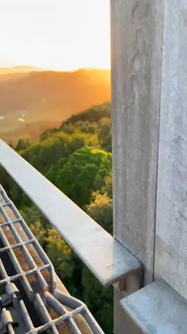 #foryou##вайбовыевидео#природа#закат#лес#атмосфера 