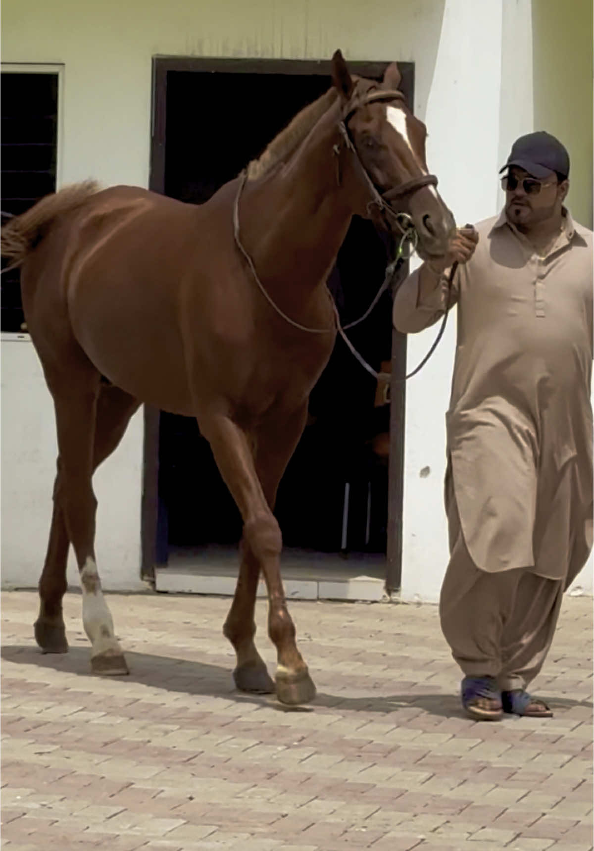 #miansaqib #mianfarmhouse #petslover #lionslover #myfuntiktok #wildlifelover #crew07 