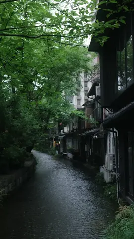 高瀬川 #京都 