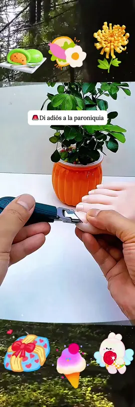 ¡Dile adiós a las uñas encarnadas y gruesas! Este cortaúñas de apertura ancha corta sin esfuerzo incluso las uñas más duras, con precisión y sin ensuciar gracias a su sistema de recolección automática. ¡Imprescindible para un cuidado perfecto de las uñas! 👣✂ #CortaUñasDeAperturaAncha #SoluciónParaUñasEncarnadas #CortadorDeUñasGruesas #CuidadoDeUñasFácil #EsencialesDeHigiene #HerramientaImprescindible #CortePreciso #SinDesorden #FácilDeUsar #MejorCompra #TendenciaEnTikTok #ProductoViral #compraahora